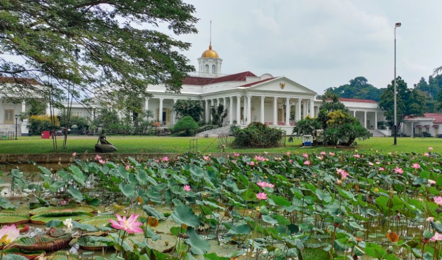 Kebun Raya Bogor, Jalan-Jalan Santai Mengagumi Pohon Tua