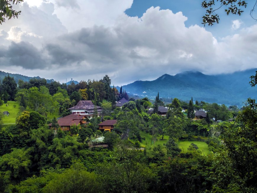 Tempat Wisata Cibodas National Park