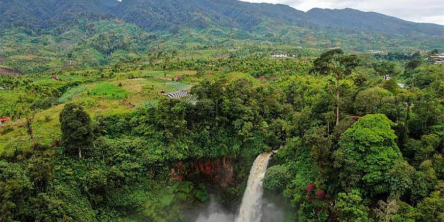 Temukan 6 Taman Nasional Teratas di Indonesia