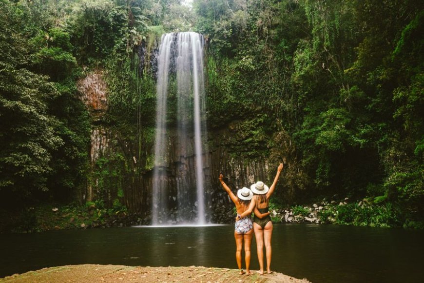 Jelajahi Australia Air Terjun Millaa Millaa