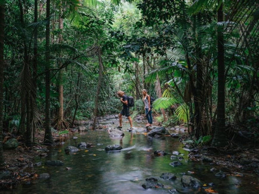 Selamat datang di Dataran Tinggi Subur Queensland