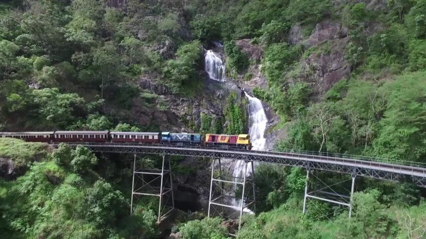 Berpariwisata Seru di Tempat Kuranda