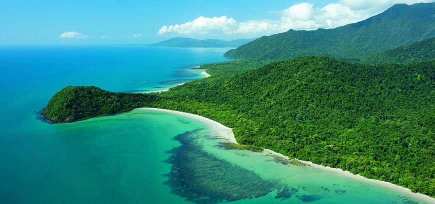 Daintree dan Tanjung Kesengsaraan