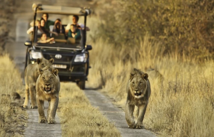 Taman Nasional Kruger