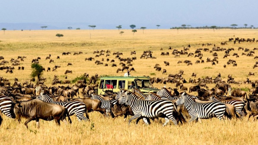 Taman Nasional Serengeti