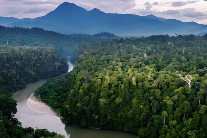 Taman Nasional Gunung Leuser