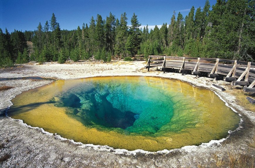 Taman Nasional Yellowstone