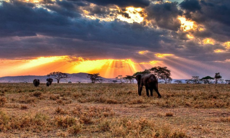 Serengeti National Park