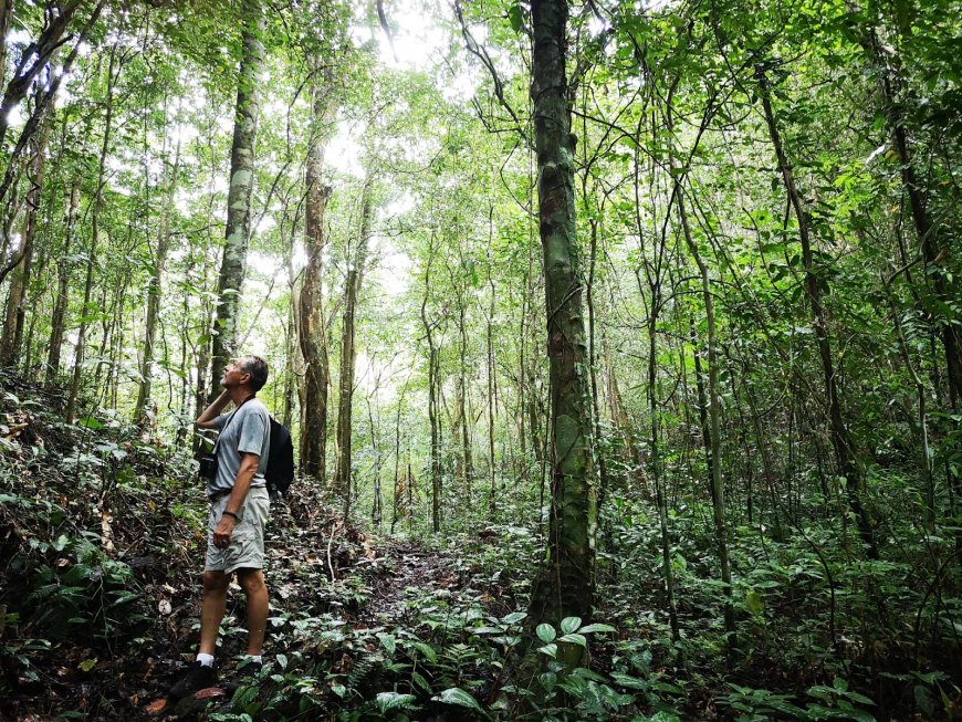 Taman Nasional Raja Sikatuna