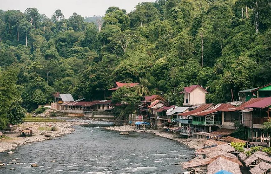 Bukit Lawang