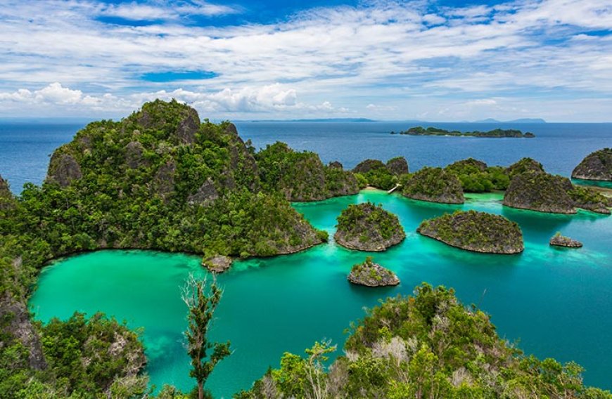 Papua provinsi terbesar dan terpencil di Indonesia