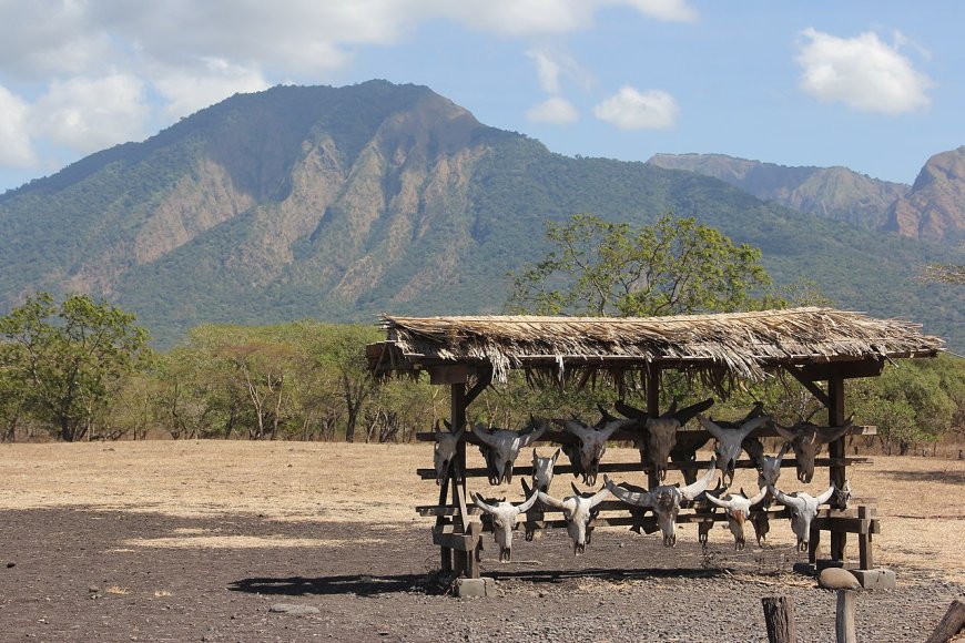 Taman Nasional Baluran Terletak di ujung timur Jawa Indonesia