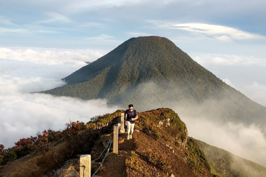 Taman Nasional Gede Pangrango