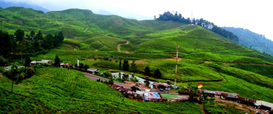 Cisarua Membelakangi Gunung Yang Sejuk dan indah