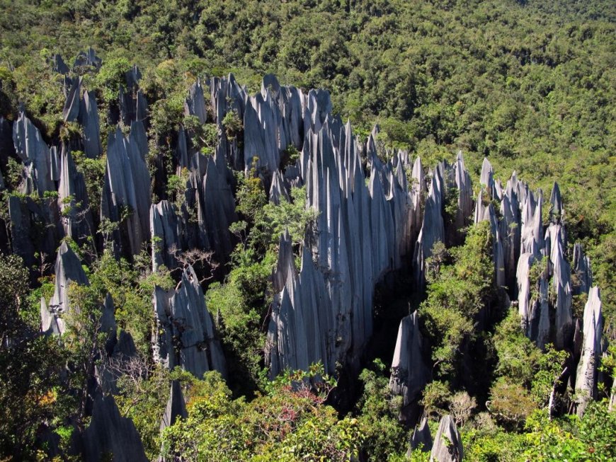 Kayan Mentang National Park