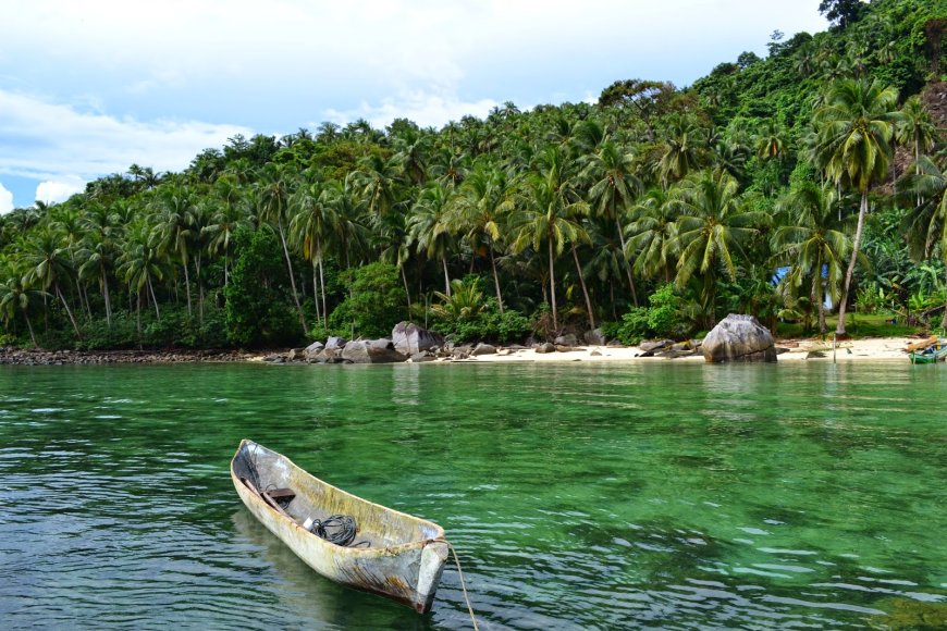 Gunung Palung National Park