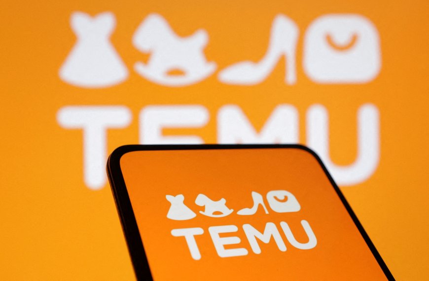 Temu mengincar inisiatif anti-pemalsuan Uni Eropa